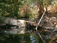 Sonoma Creek Tributary