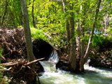 Ritchey Creek